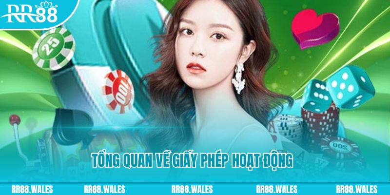 ae8888 kết quả xổ số kiến thiết miền bắc