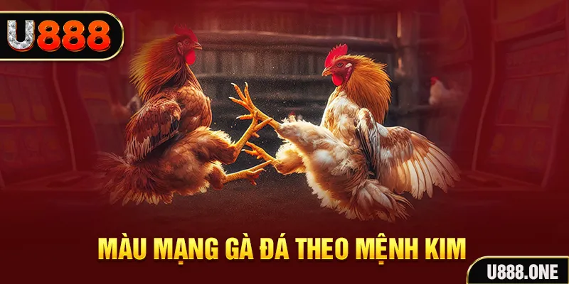 ae8888 gà chọi tiêu phong
