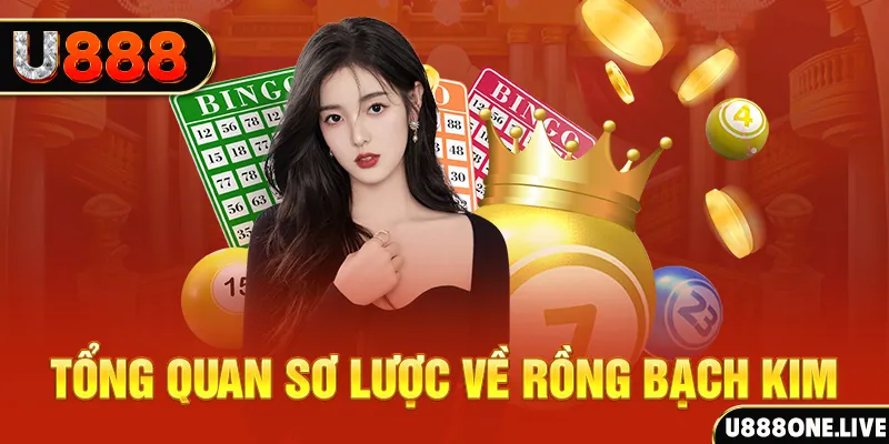 ae8888 how to win at slot machines