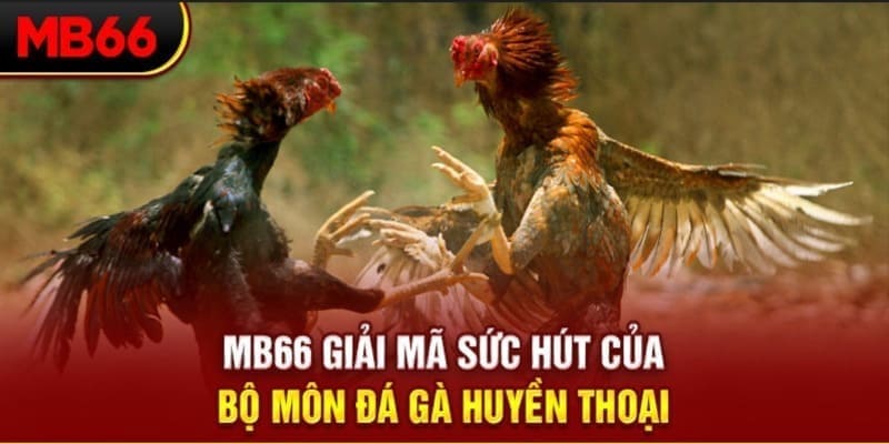 ae8888 long bảo trong baccarat là gì